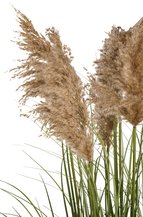 Kunstgress med ekte pampas 120 cm